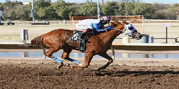 Horse racing at Rillito Park
